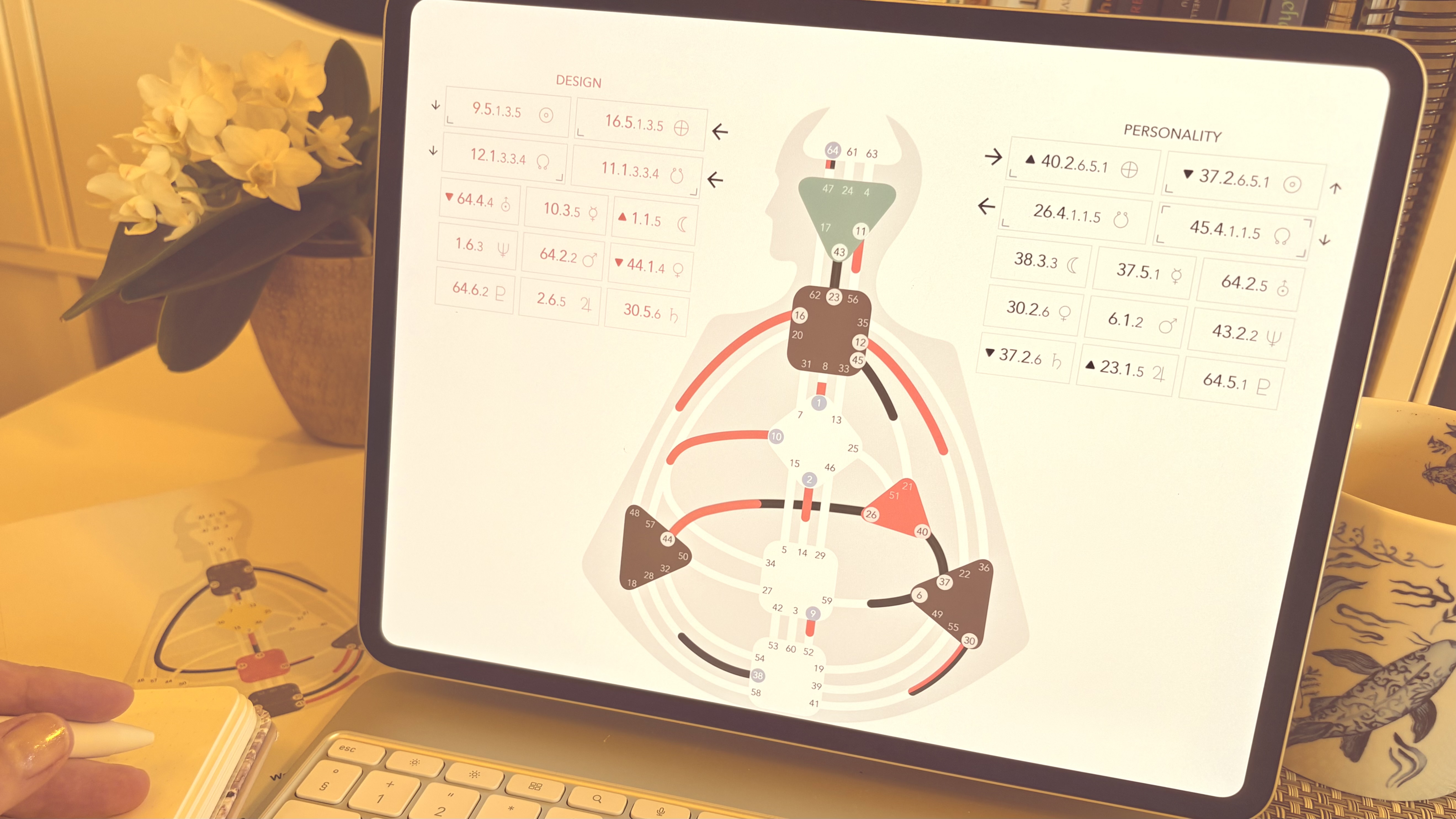 For You — Human Design